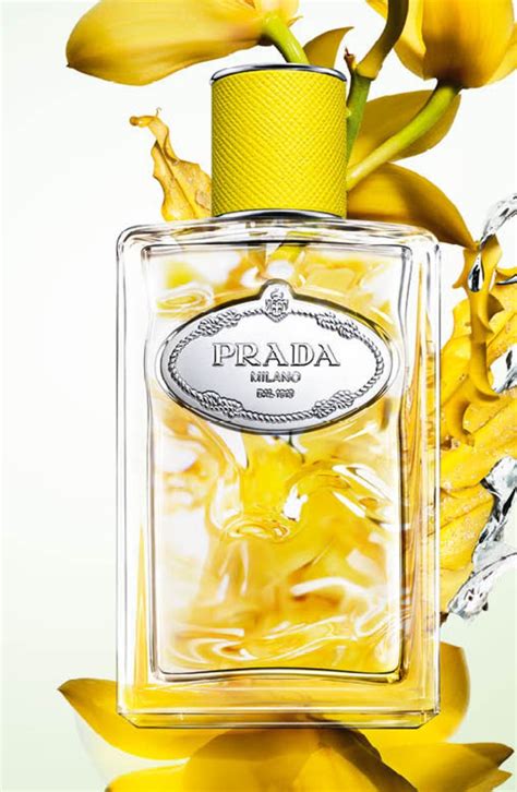 prada infusion d|prada infusion d'ylang.